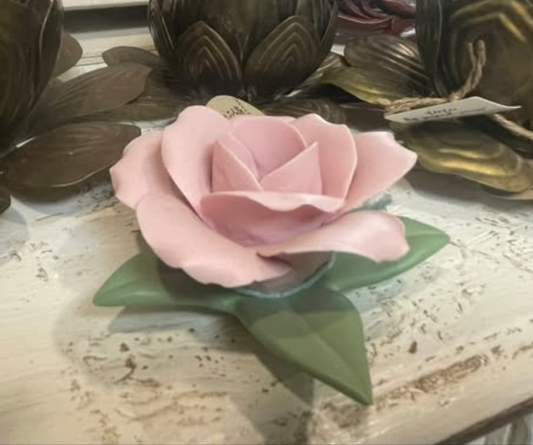 Porcelain Rose