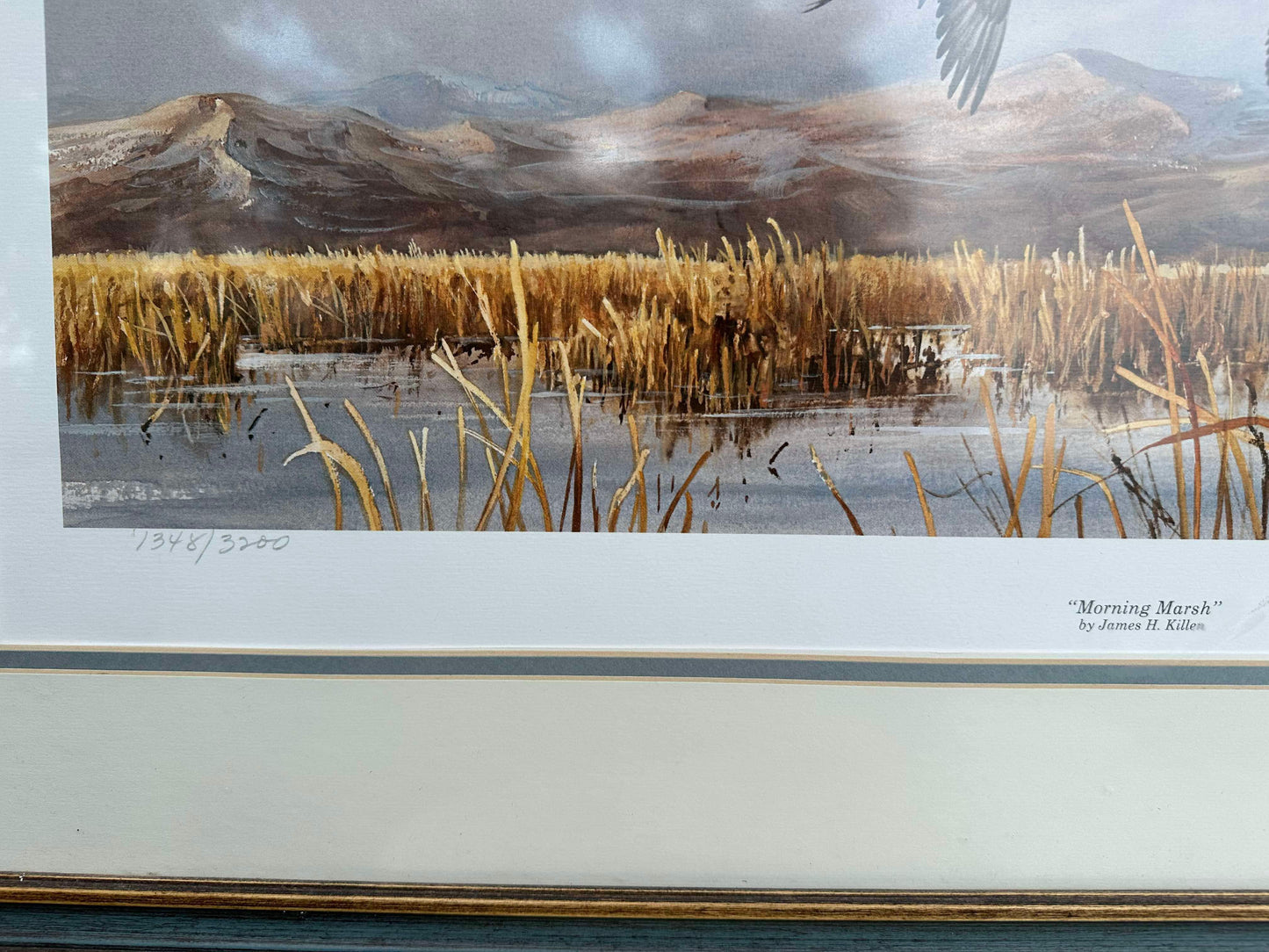 James Killen Pintail Duck Art Print “Morning Marsh’’ #1348/3200