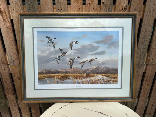 James Killen Pintail Duck Art Print “Morning Marsh’’ #1348/3200