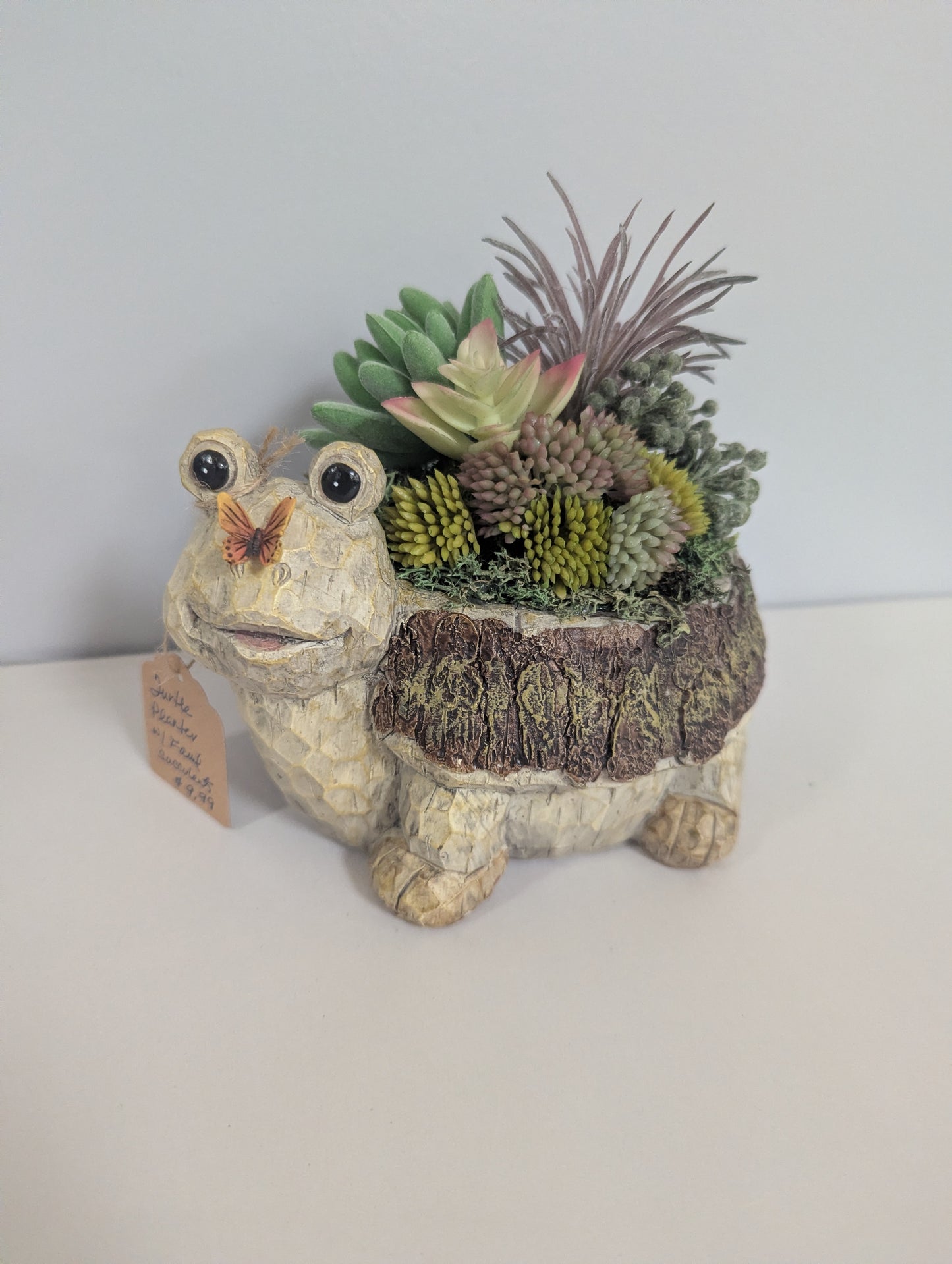 Turtle Planter