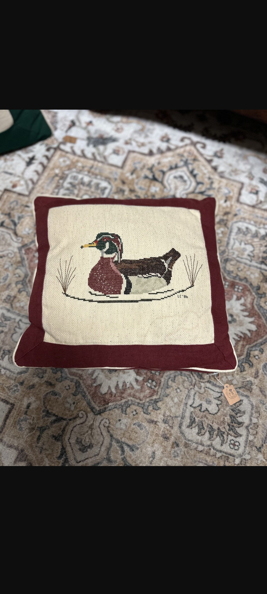Duck Cross Stitch Pillows (2)